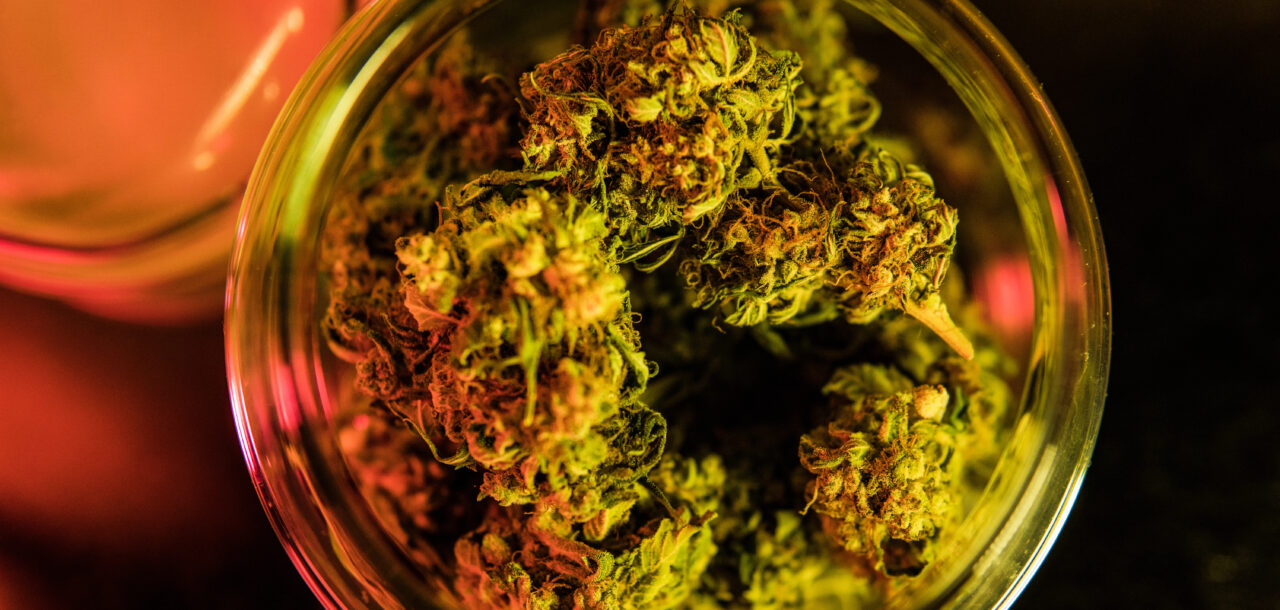 The Hidden Flavor Architects: How Flavonoids Shape Cannabis Taste & Aroma