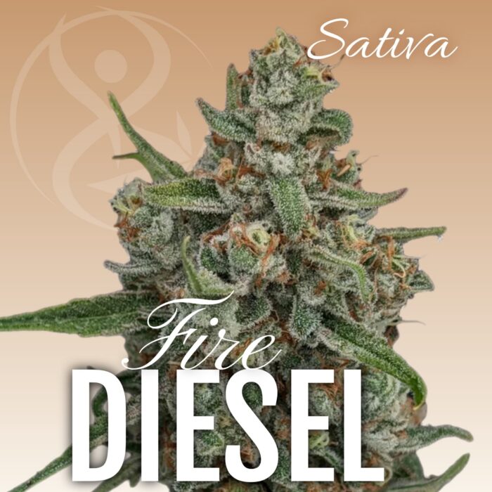Fire Diesel sativa cannabis flower strain graphic